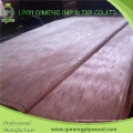 Taille 1270X2520mm, 1270X1900mm, 760X2200mm, 920X2200mm Épaisseur 0.15-0.50mm Placage Bintangor avec prix moins cher